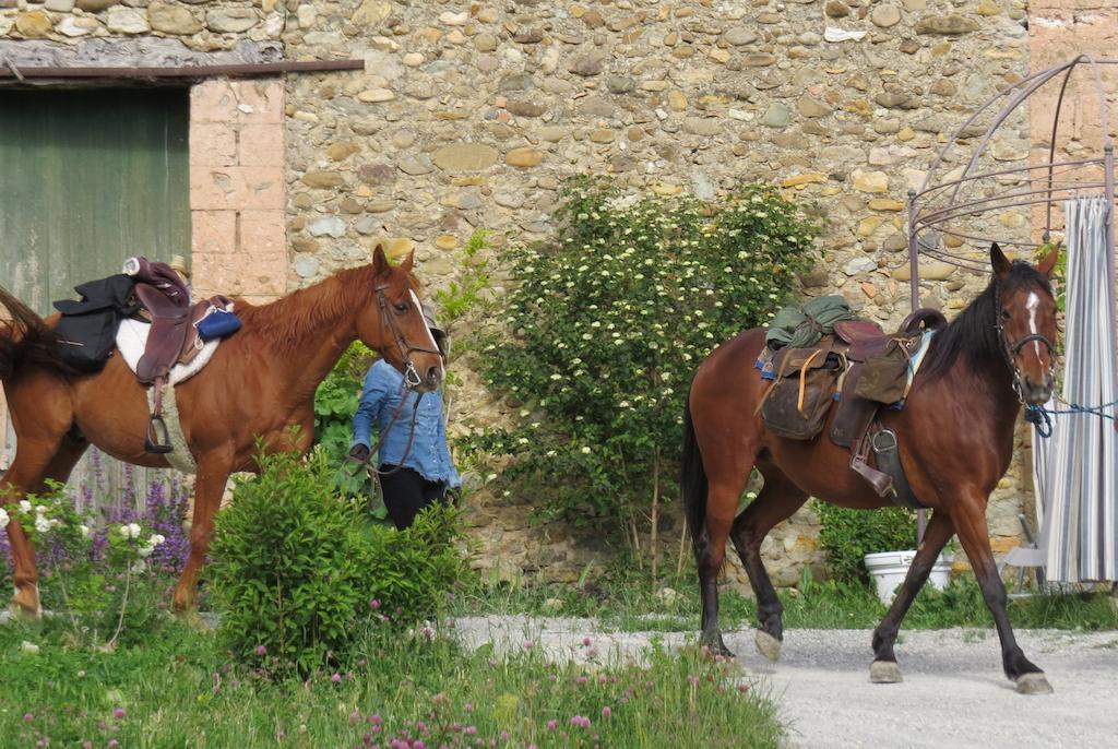 Les Gites D'Eliane Laragne Exterior photo