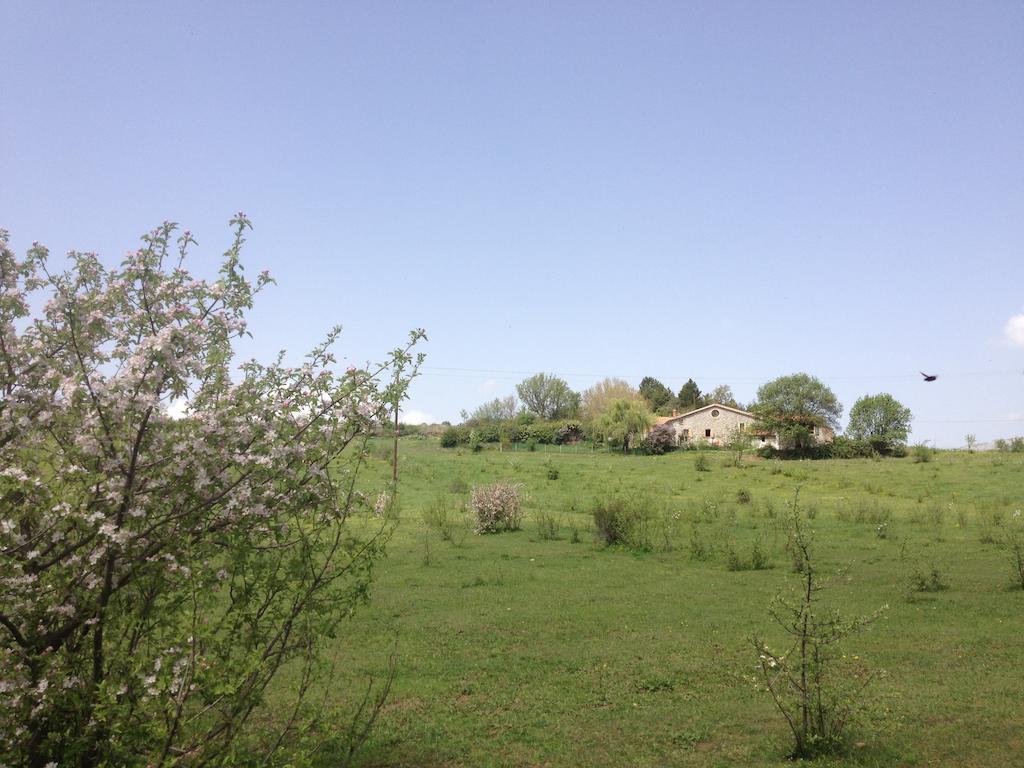 Les Gites D'Eliane Laragne Exterior photo